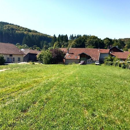 Gite Le Geleinfete II Vosges A Proximite De Gerardmer Herpelmont Esterno foto
